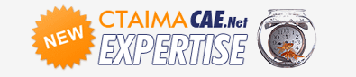 Presentación de CTAIMA.CAE. Net Expertise