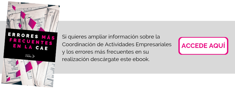 errores en la CAE