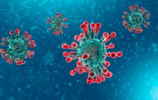 ¿Qué medidas informativas se han de aplicar frente al coronavirus en los centros de trabajo?